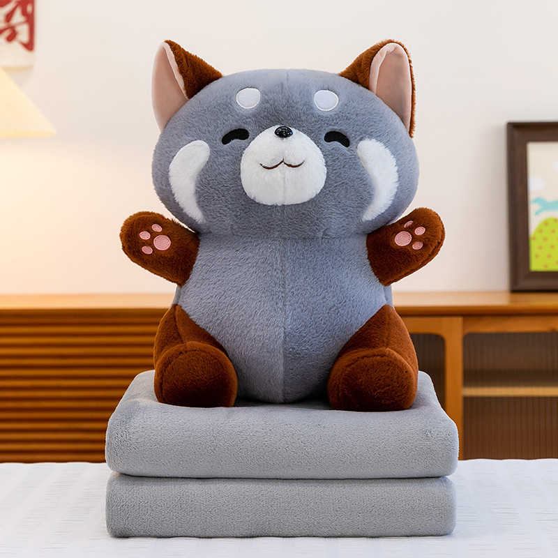 gray raccoon