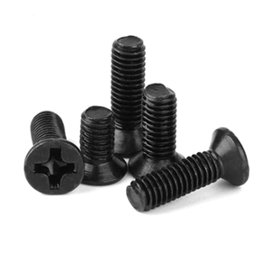 M1 M1.2 M1.4 M1.6 M2 M2.5 M3 M4 Din965304ステンレス鋼クロスフィリップス皿頭ねじ - Product Image 6