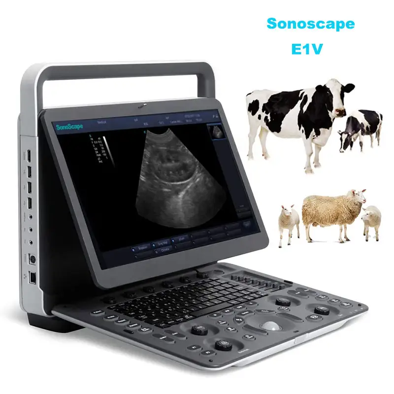 SonoScape E1 strumenti ad ultrasuoni medici ad ultrasuoni veterinari scanner ad ultrasuoni veterinario in bianco e nero con sonda rettale L741V