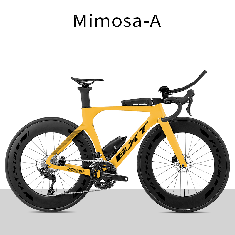 BXT Mimosa amarillo--A