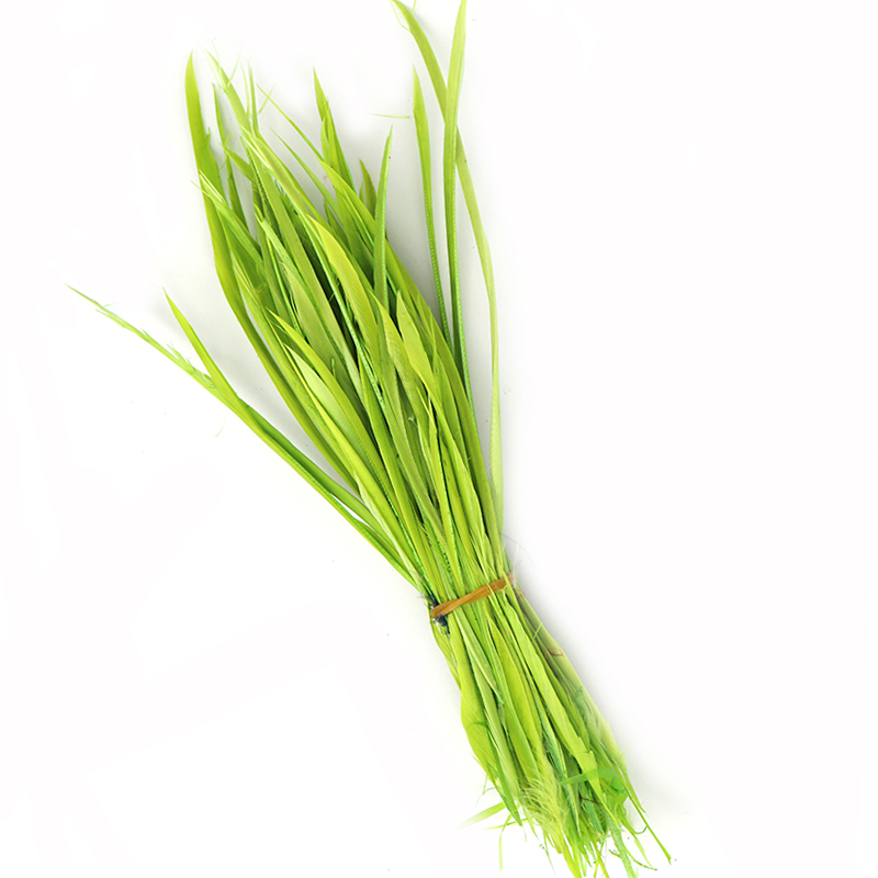 Vert clair