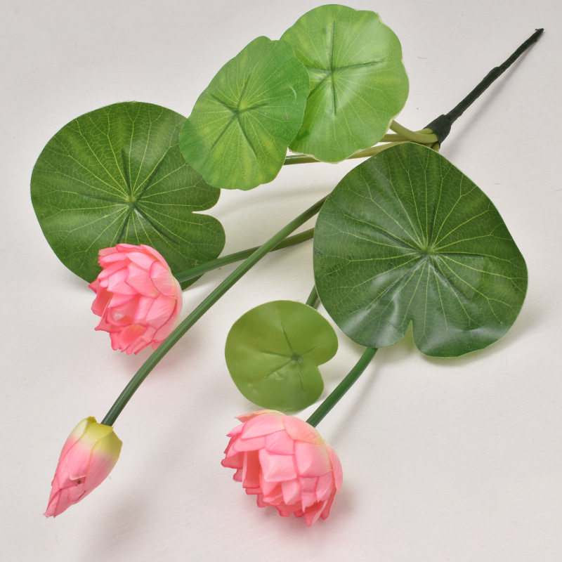 Gran loto rosa