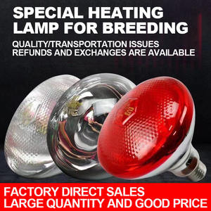 Hot Bán Chất Lượng Cao Đèn Chăn Nuôi Đặc Biệt Nhiệt Bóng Đèn Hồng Ngoại Đèn Gà Lồng Ấp Phụ Kiện Nhiệt Bảo Quản - Product Image 6