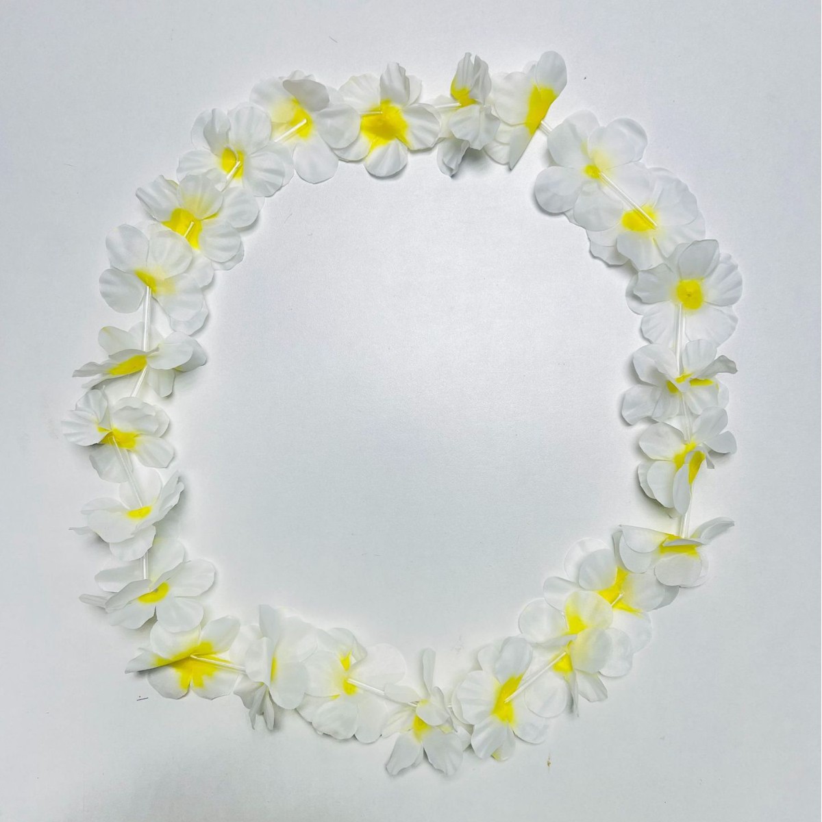 dégradé blanc