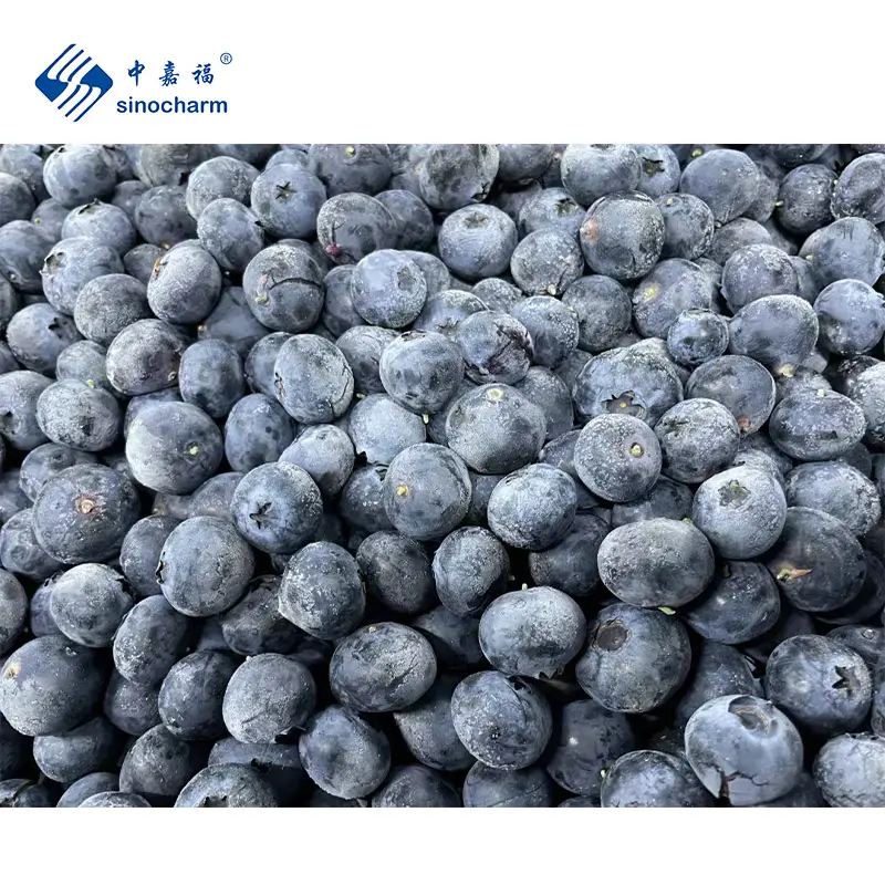 चीन से सिनोचार्म 1.5 सेमी होल ब्लू बेरी थोक थोक 10 किलो आईक्यूएफ ताजे फल फ्रोजन ऑर्गेनिक ब्लूबेरी