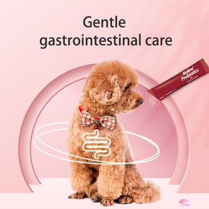 プライベートラベル犬のプロバイオティクス粉末ペット栄養サプリメント犬のプロバイオティクス - Product Image 3