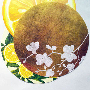 Lemon Art <strong>Customized</strong> Round <strong>PP</strong> Plastic <strong>Table</strong> <strong>Mat</strong> Washable Polypropylene Placemat in Clear Color for Home Use Bulk Packing - Product Image 3