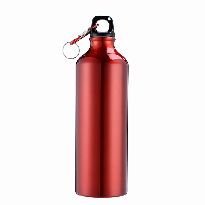 500ml 600ml 750ml Logo personnalisé en acier inoxydable aluminium vélo sport bouteille d'eau avec mousqueton