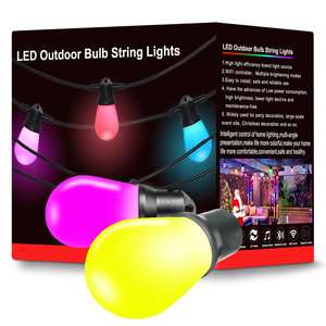 Factory Direct Sale 12v 24v OEM IP67 Waterproof <strong>Led</strong> Christmas <strong>Light</strong> <strong>String</strong> <strong>Led</strong> Bulb Outdoor <strong>String</strong> Lighting - Product Image 2