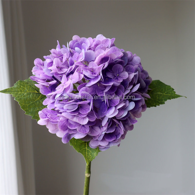 11# Purple