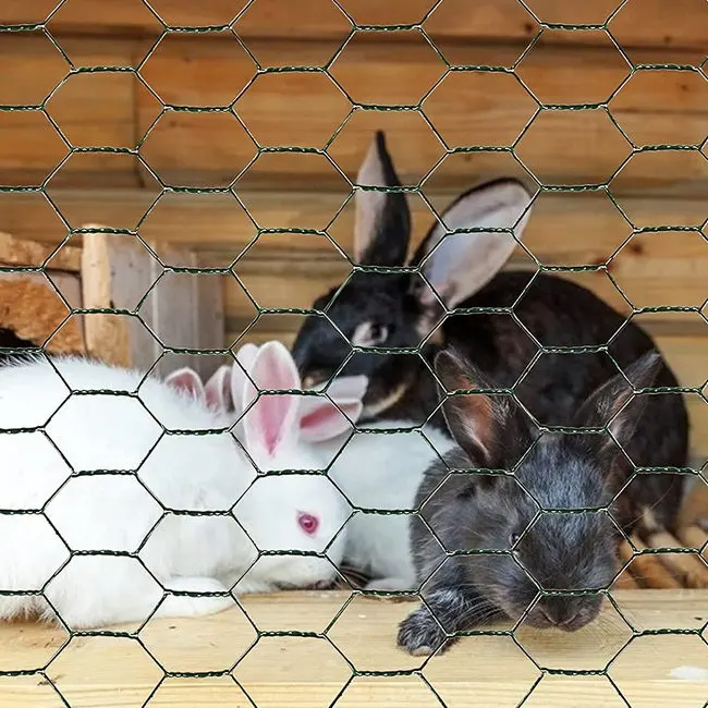 Guter Verkauf Anti-Rost kleines Loch 1/4 Zoll sechseckiges Hühner draht geflecht für Hühnerfarm