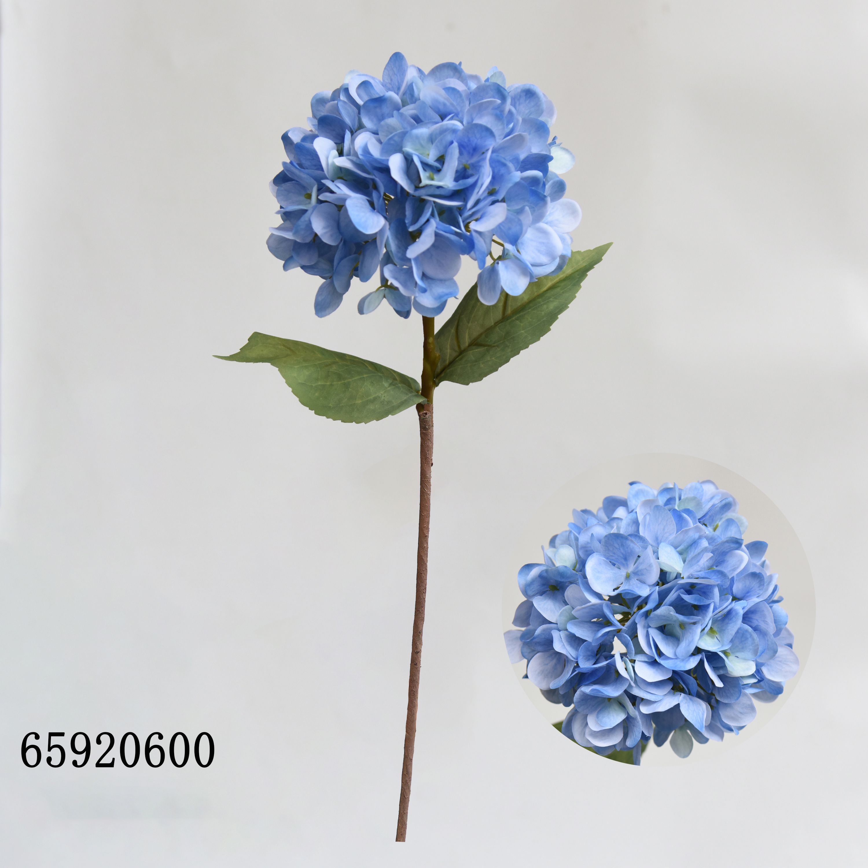 Bleu600