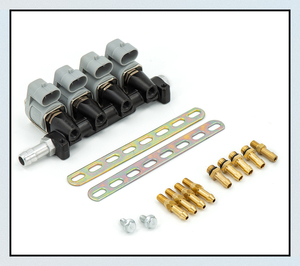 Hochwertiges universelles neues LPG/CNG-Sequential-Kraftstoffs ystem Einspritzung Auto-Gas-Umrüstsatz Einspritz schiene 2 Ohm Auto injektor - Product Image 6