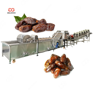 Barhee Medjool Jujube pulizia e asciugatrice linea di imballaggio palmare data lavatrice e data di smistamento - Product Image 6