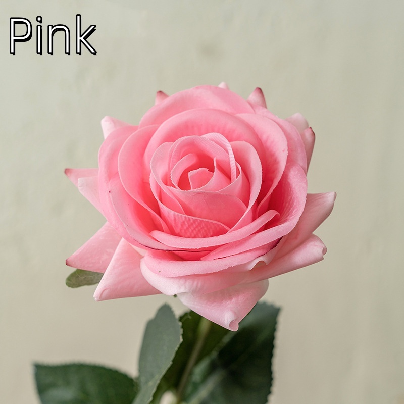 Rosa