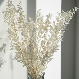 ดอกรัสคัสสีขาวสำหรับตกแต่งบ้าน,ดอกรัสคัสสีขาว - Product Image 1