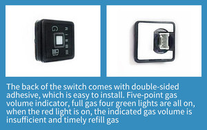ACT Cng lpg Switch Car Changeover ECU Electric lpg Gas Switch MP48 Ecu Auto Gas System <strong>Ngv</strong> lpg Switch