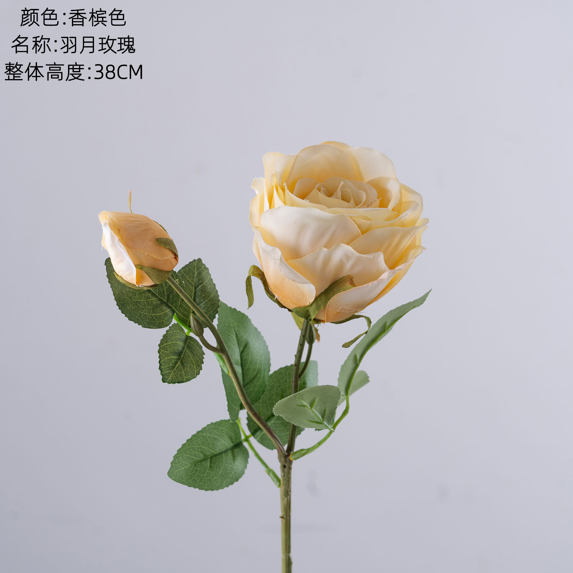 แชมเปญ