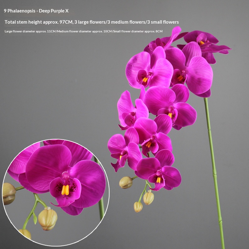 9 têtes violet foncé