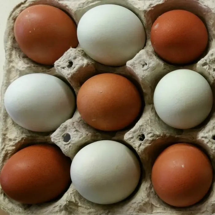 ไข่โต๊ะไก่สดพร้อมไข่ฟักที่ปฏิสนธิในราคาส่งไข่ฟักที่มีคุณภาพอุดมสมบูรณ์ราคาโปรโมชั่น