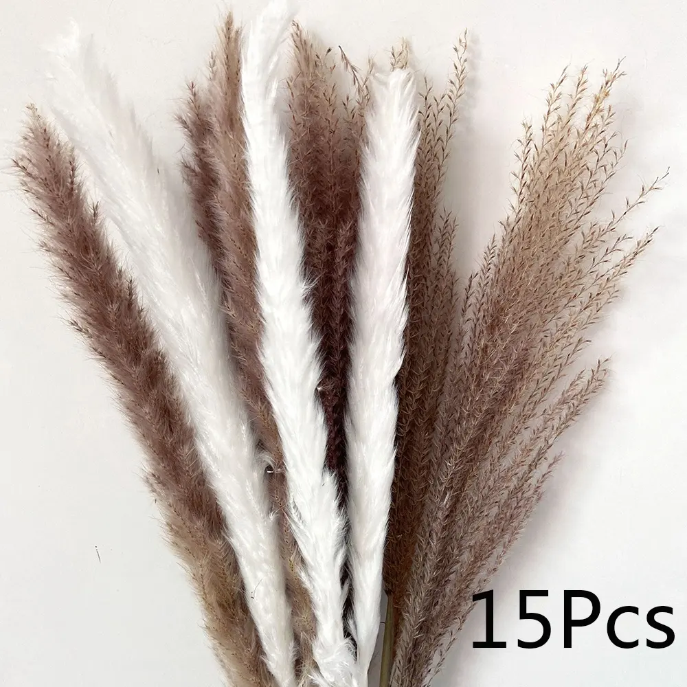 Small Pampas Grass Bouquet Decor Naturally Dried Flowers Dried Bouquet Of Flowers Mix Wholesale Dried Flowers