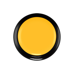 Factory Sale Plastic <strong>Customized</strong> Color Logo Printing Voiced <strong>Button</strong> Interactive Pet Sound <strong>Button</strong> Dog Training <strong>Talking</strong> <strong>Buttons</strong> - Product Image 2