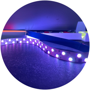 <strong>SPI</strong> 16703 15mm PCB Digital Magic Dream Color Change DC24V Flexible RGBIC <strong>Programming</strong> Ws2812 Led Strip for 2020 Silicone Tube - Product Image 4