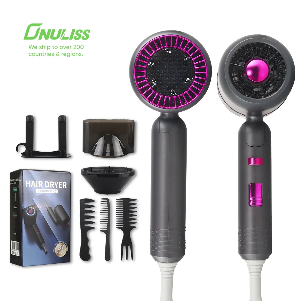 Professional Salon Hair Dryer Travel Portable Ionic Infared Wall Mounted for Household Use