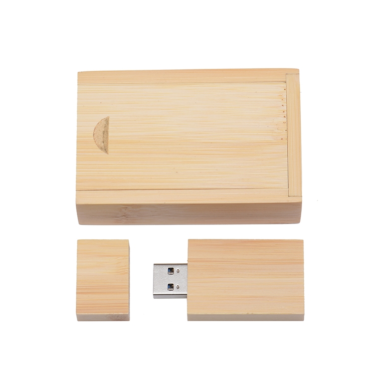 Bamboo