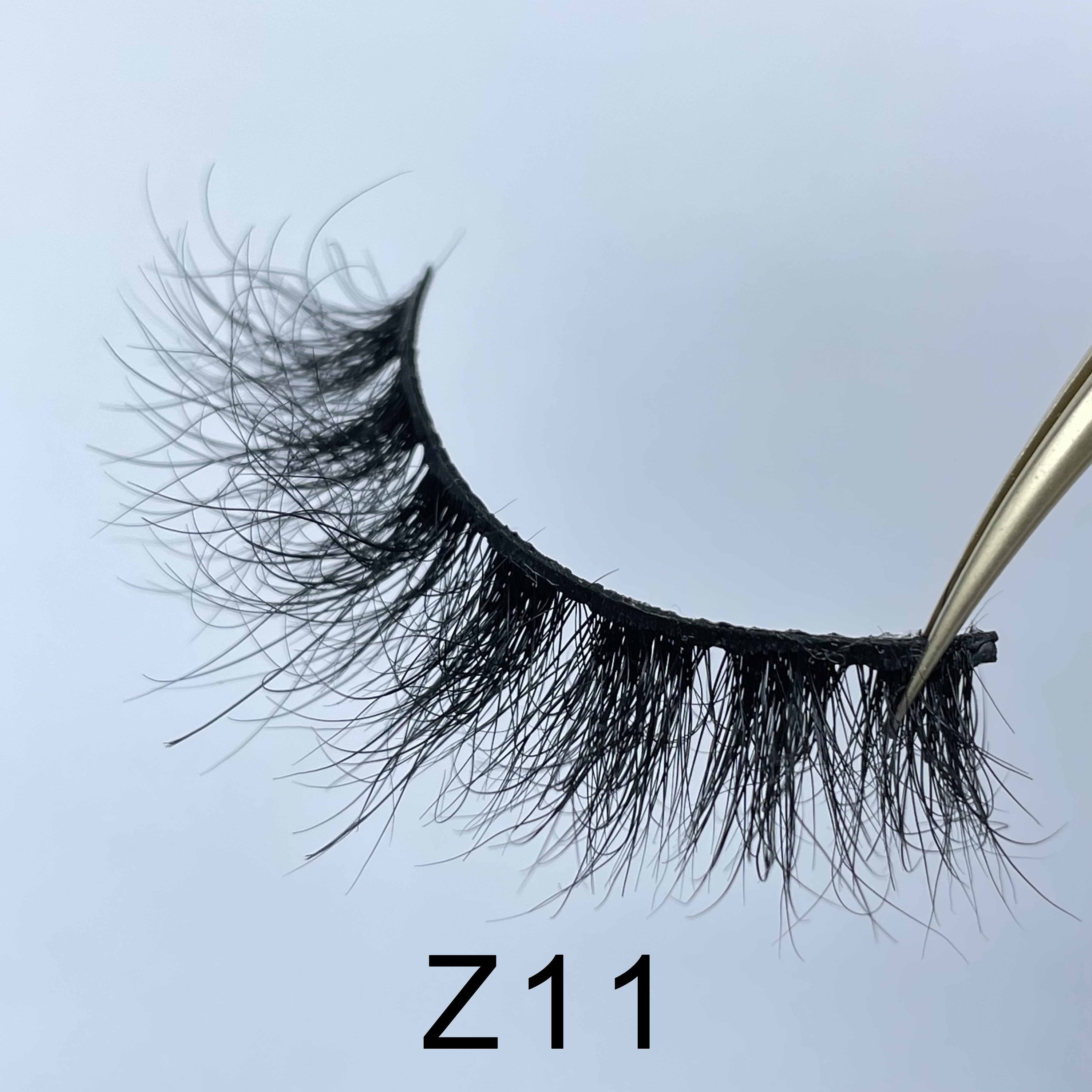 Z11