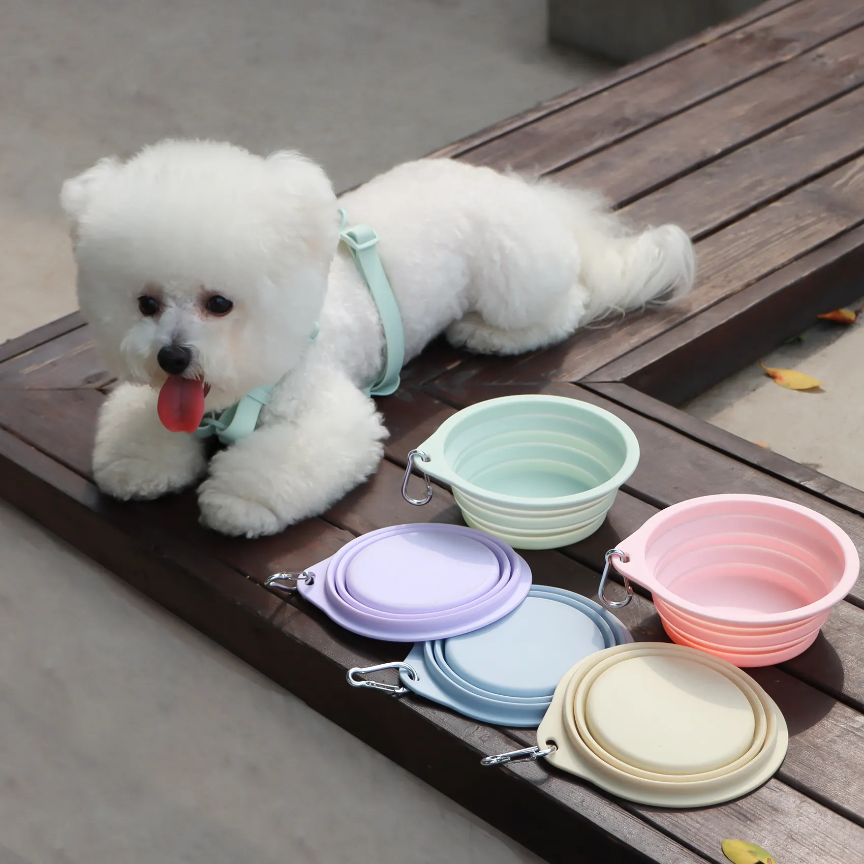SHURUI PET toptan özelleştirmek seyahat Pet su besleme kasesi katlanabilir taşınabilir katlanabilir silikon köpek kasesi