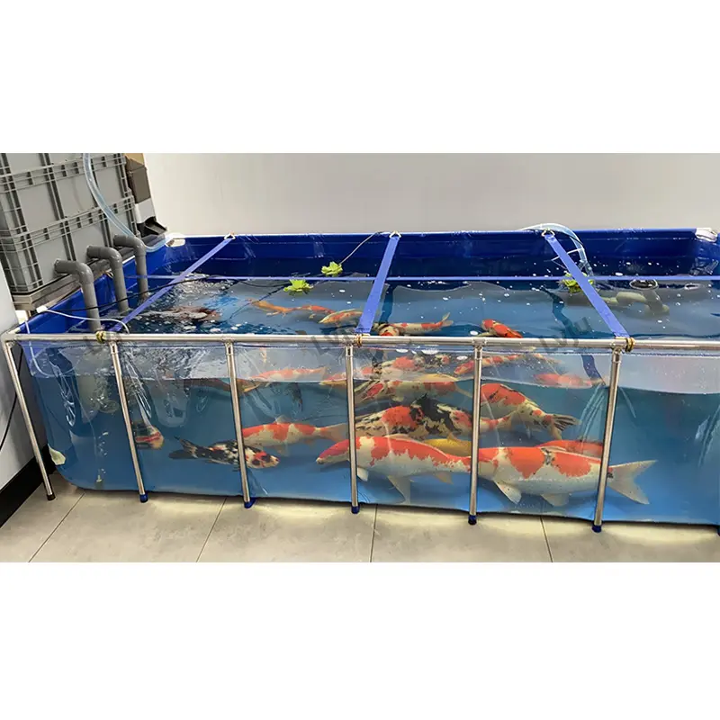 Роскошный Декор аквариум для аквариума из нержавеющей стали прозрачный аквариум для домашних животных для рыб кои/Бетта/Гуппи