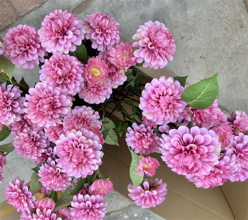 Fleurs de Dahlia en pâte de haricots