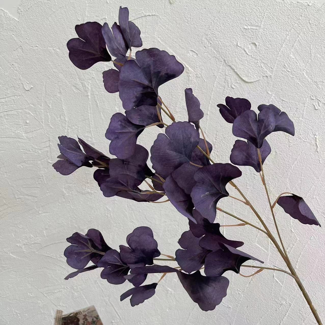#8 feuilles de ginkgo biloba
