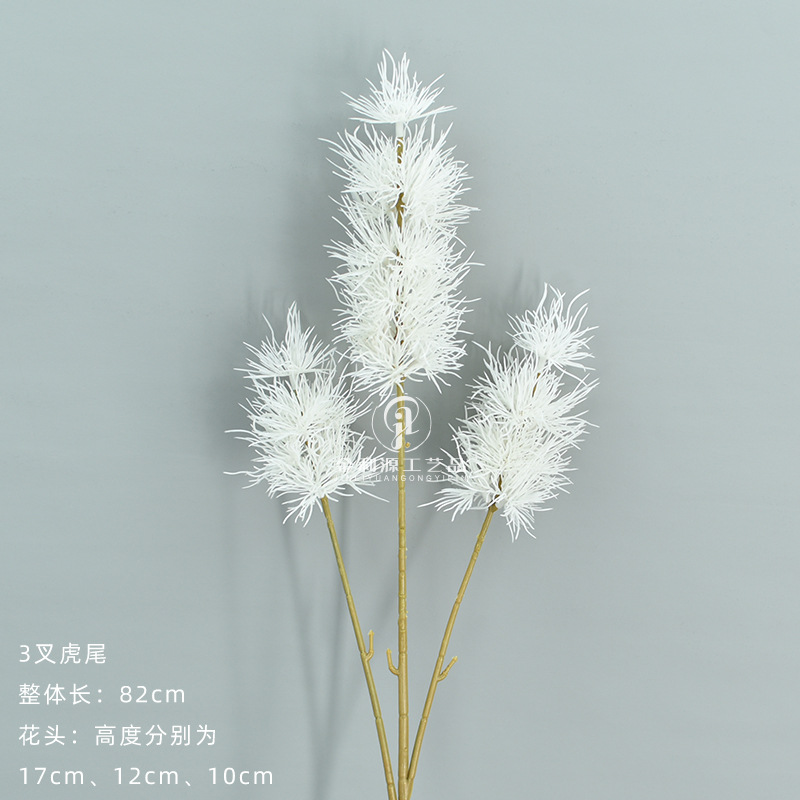 สีขาวหางเสือ