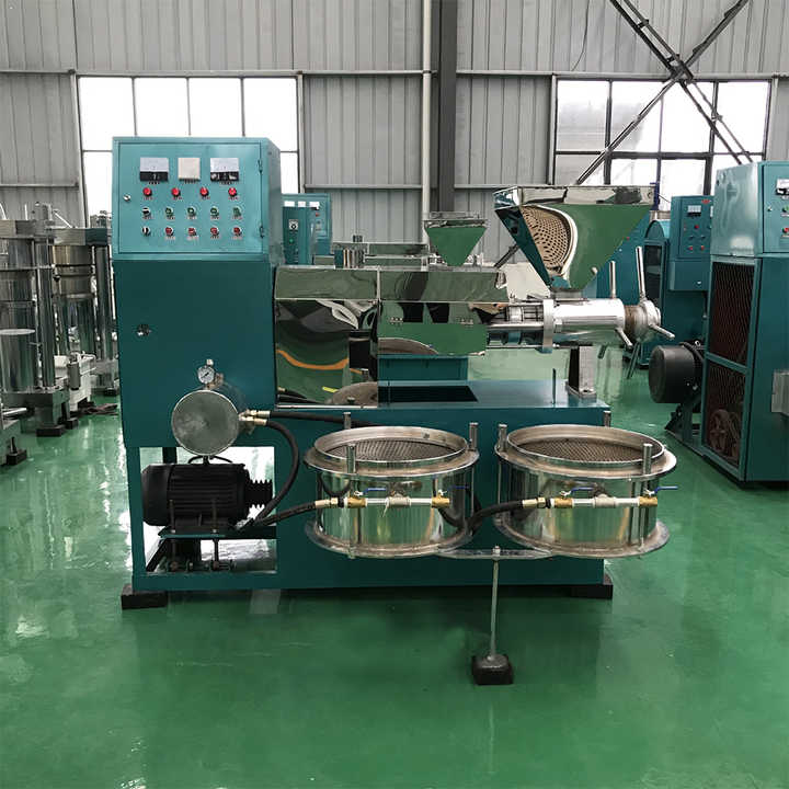 Double vis industrie froide maïs Neem presse cacahuète sésame palme noix de coco grande machine à huile haute capacité Ghana