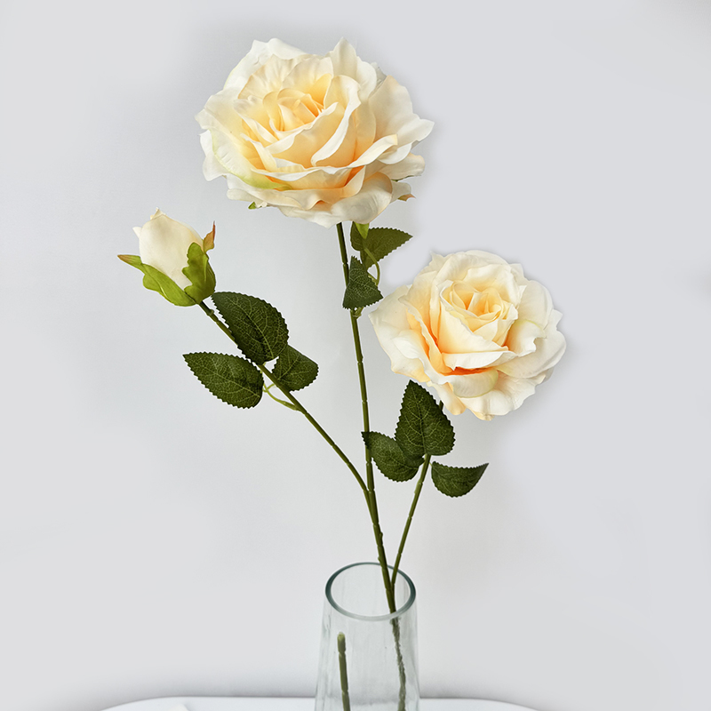 Light champagne color