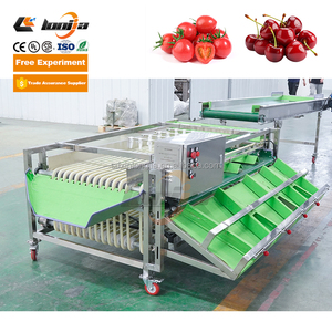 XINLONGJIA Automatic Avocado Onion <strong>Classifying</strong> Sorting Machine Potato Tomato Sorter Grader Blueberry Dates Size Grading Machine - Product Image 1
