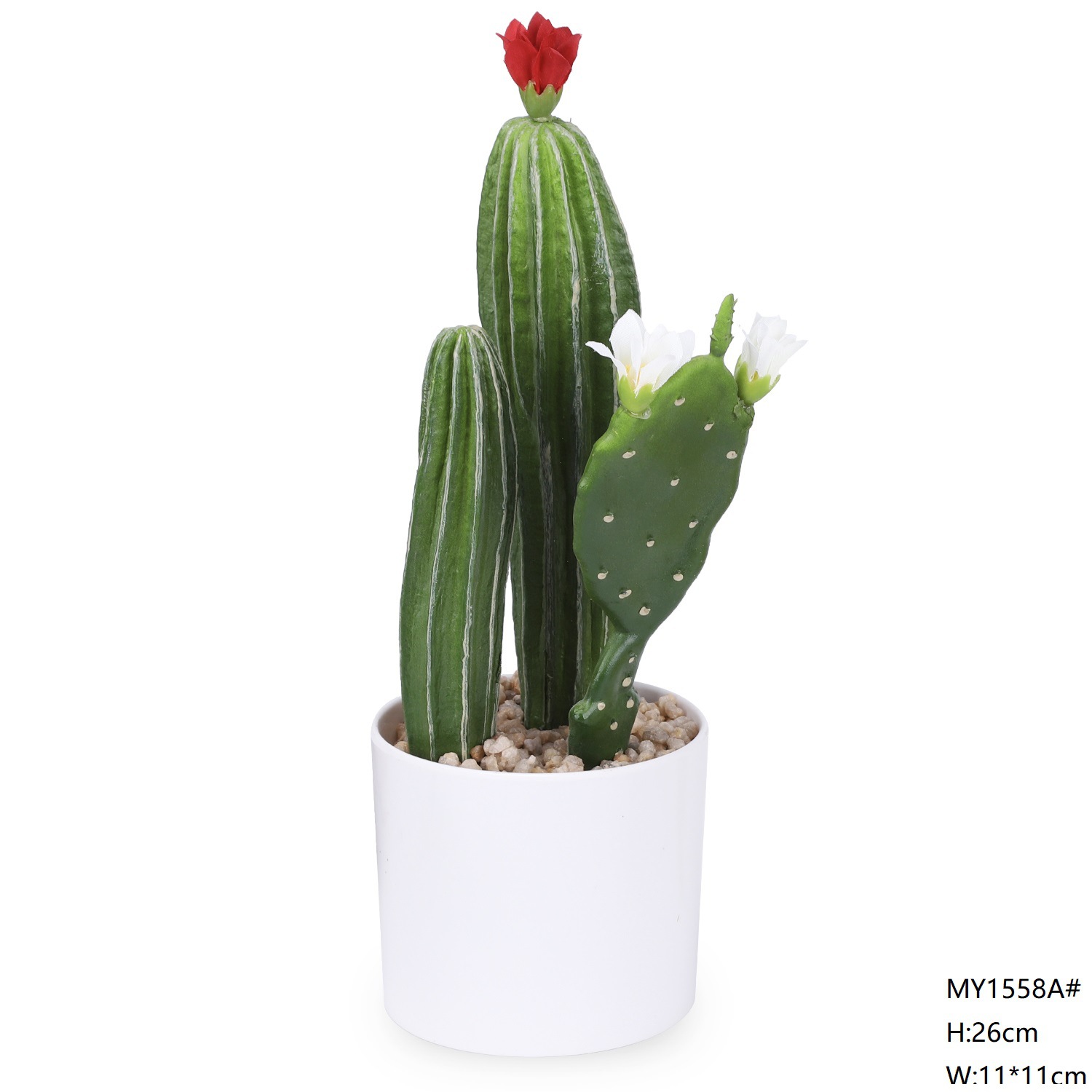 Mini cactus de 26 cm estilo bonsái c