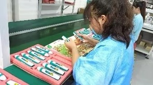 Educational Toy <strong>Learning</strong> <strong>Machine</strong> Kids Language <strong>Learning</strong> <strong>Panda</strong> Bear Style Talking Pen - Product Image 6