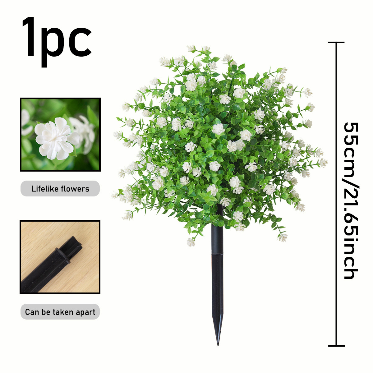 Camellia & Eucalyptus Ground Bush, White
