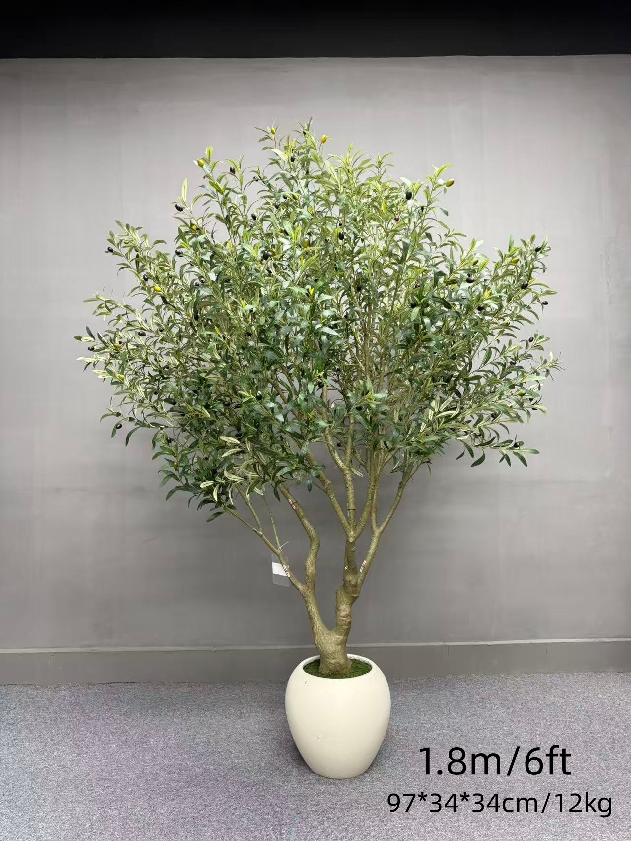 B-180 cm 6 ft Olive avec pot en céramique