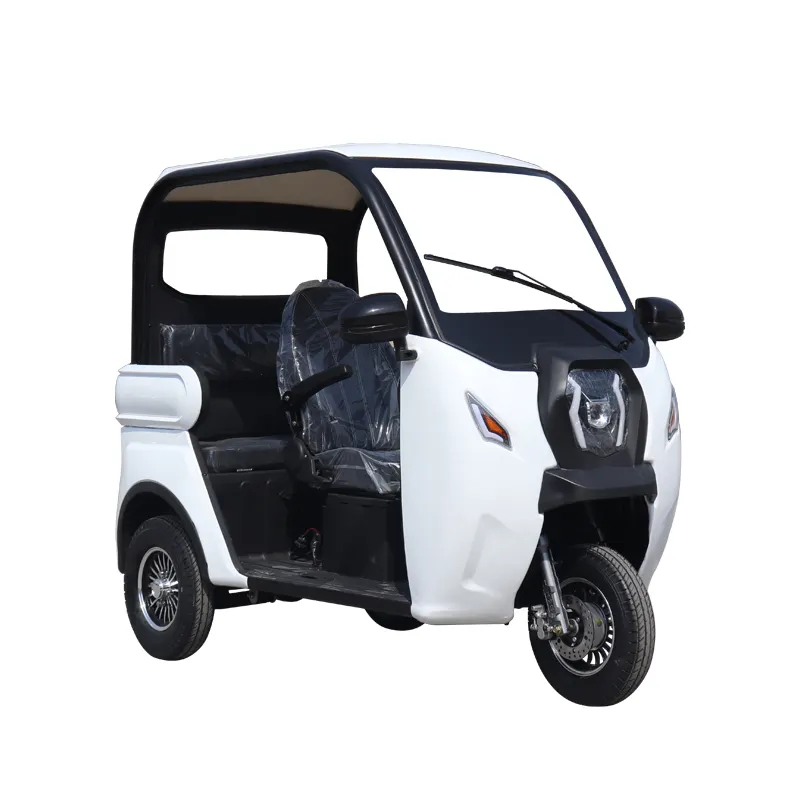 Mini triciclo eléctrico de carga para adulto, 3 ruedas con batería de litio, venta directa de fábrica
