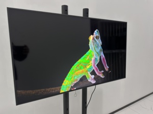 4K UHD 3920x2160P 43 "ЖК-дисплей с мини-светодиодной подсветкой прямого локального затемнения V-BY-ONE(VBO) интерфейс - Product Image 4