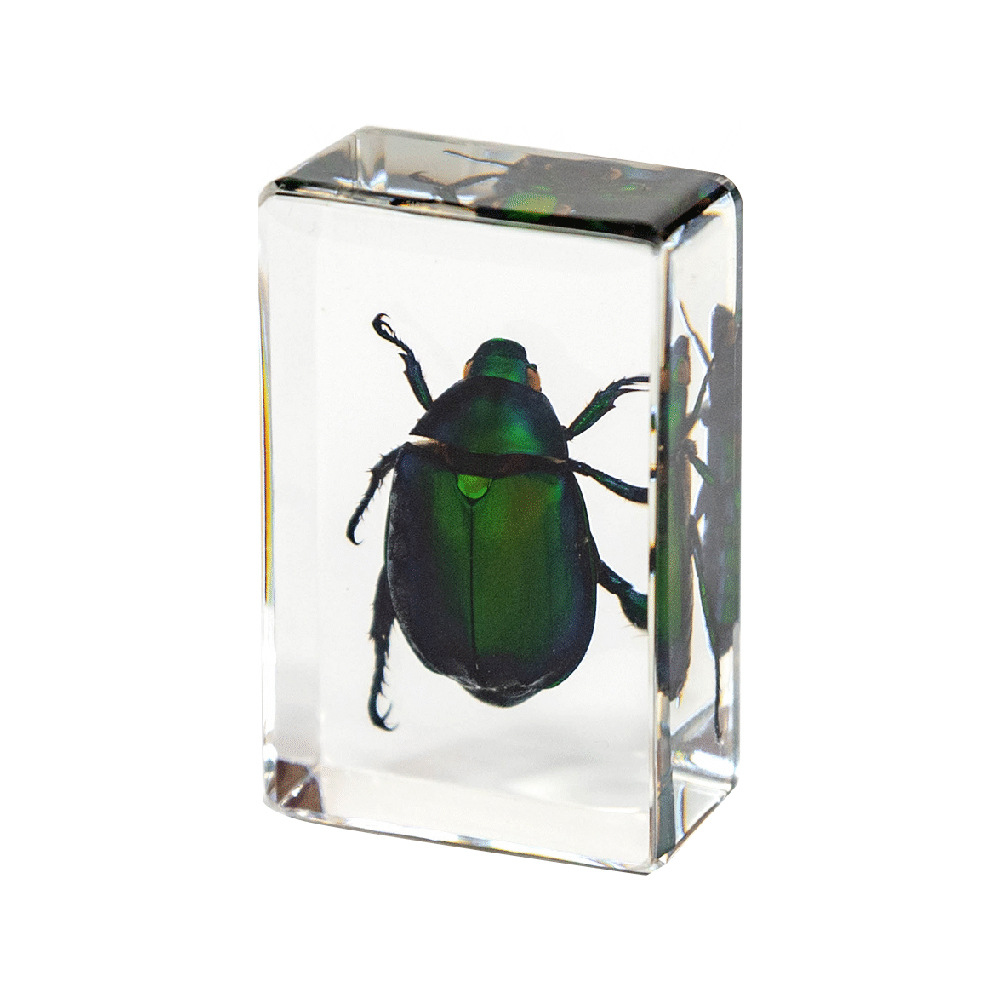4.5 cm small size-chinese colorful golden tortoise beetle