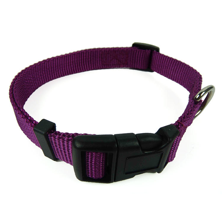 ปกสีม่วง