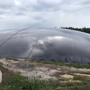Yüksek kaliteli en popüler hızlı teslimat hdpe geomembran 1mm - Product Image 4