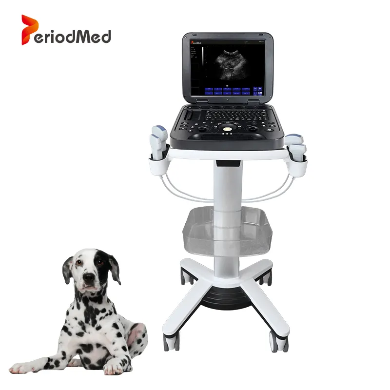 정기적 인 애완 동물 병원 초음파 수의사 저비용 휴대용 초음파 스캐너
