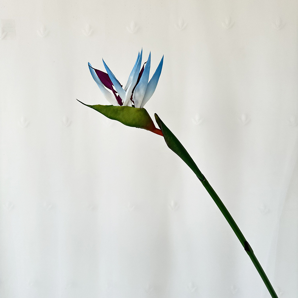 Petit bleu clair