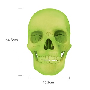 4D Master Glow-In-Dark kafatası anatomi modeli seti eğitim kök biyoloji tıp bilimleri mühendislik bilimleri mühendislik oyuncaklar - Product Image 2